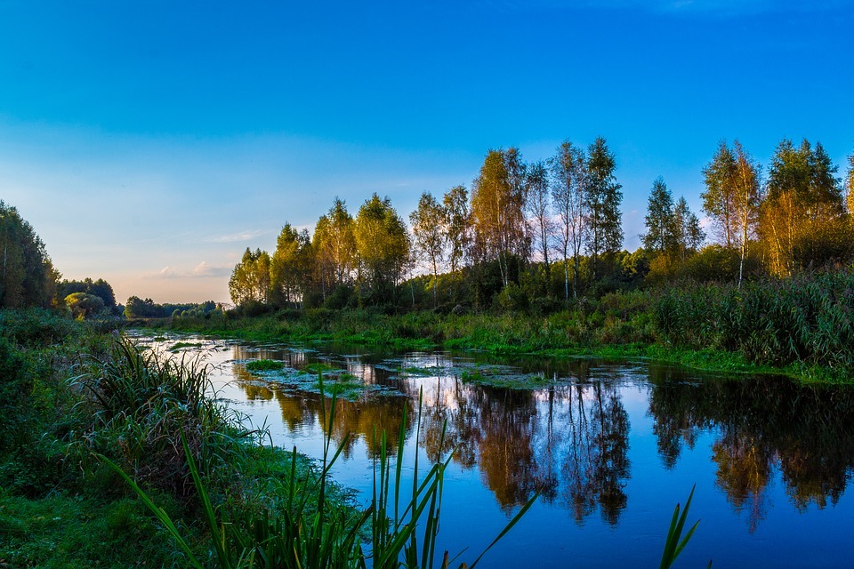 Restauration de l’estuaire de la Petite rivière Cascapédia