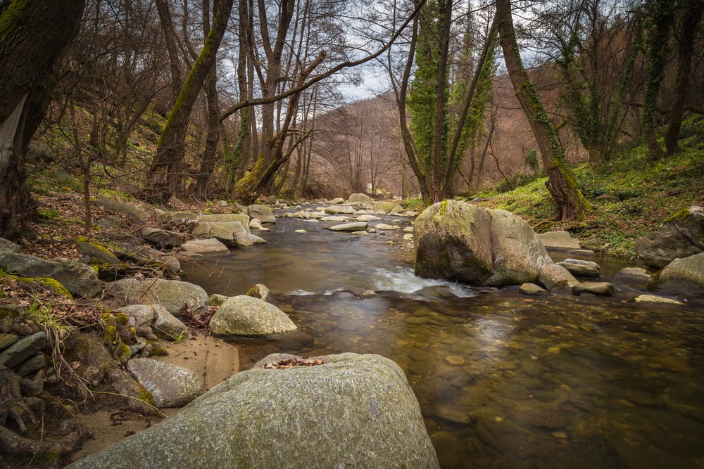 Restoring Clear Lake in Riding Mountain National Park